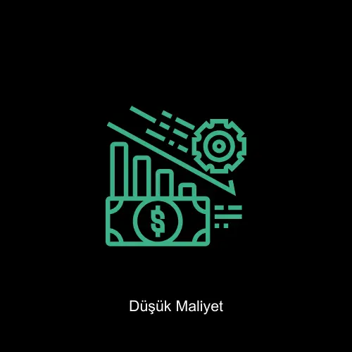 Düşük Maliyet